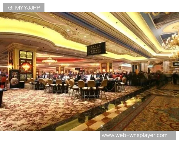 探索澳门威尼斯人娱场，揭秘代理背后的娱乐盛宴